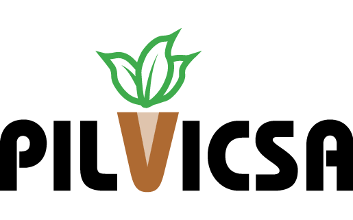 Canvas Logo