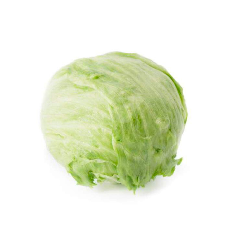 Lechuga Patagonia