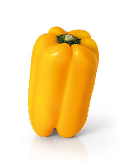 Pimiento Camaro