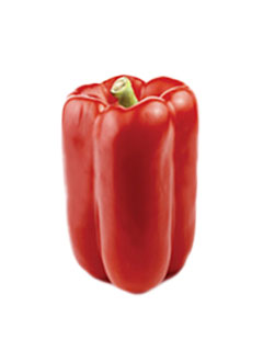 Pimiento Rubia