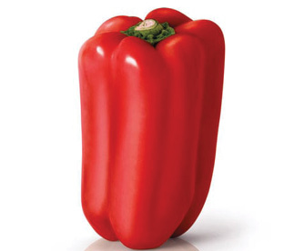 Pimiento Taurus