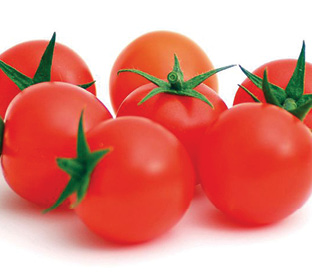 Tomate Lupitas F1
