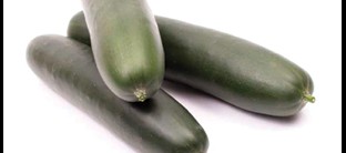Pepino Mydas