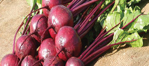 Remolacha Mesa Boro